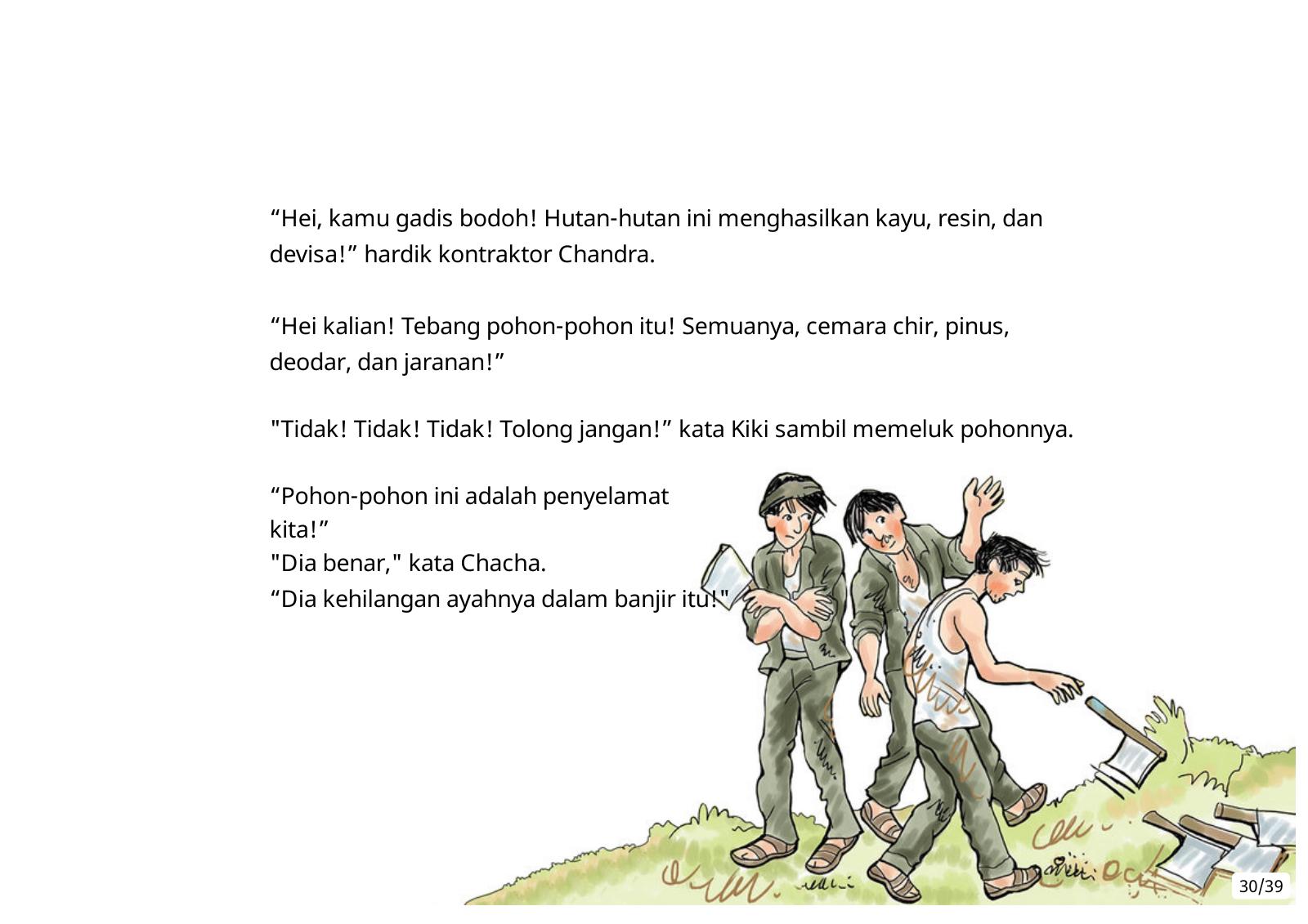 Halaman 30