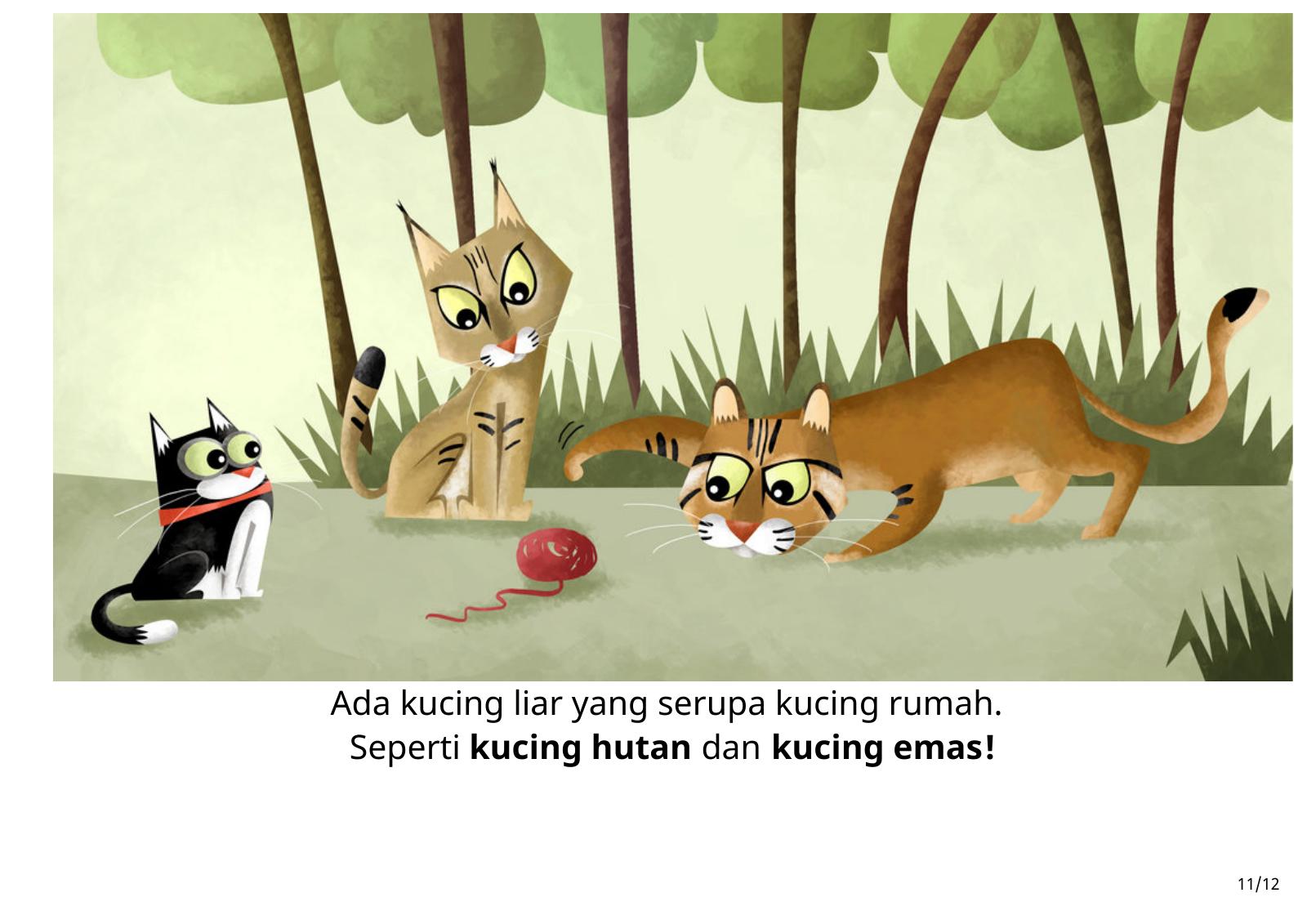 Halaman 11