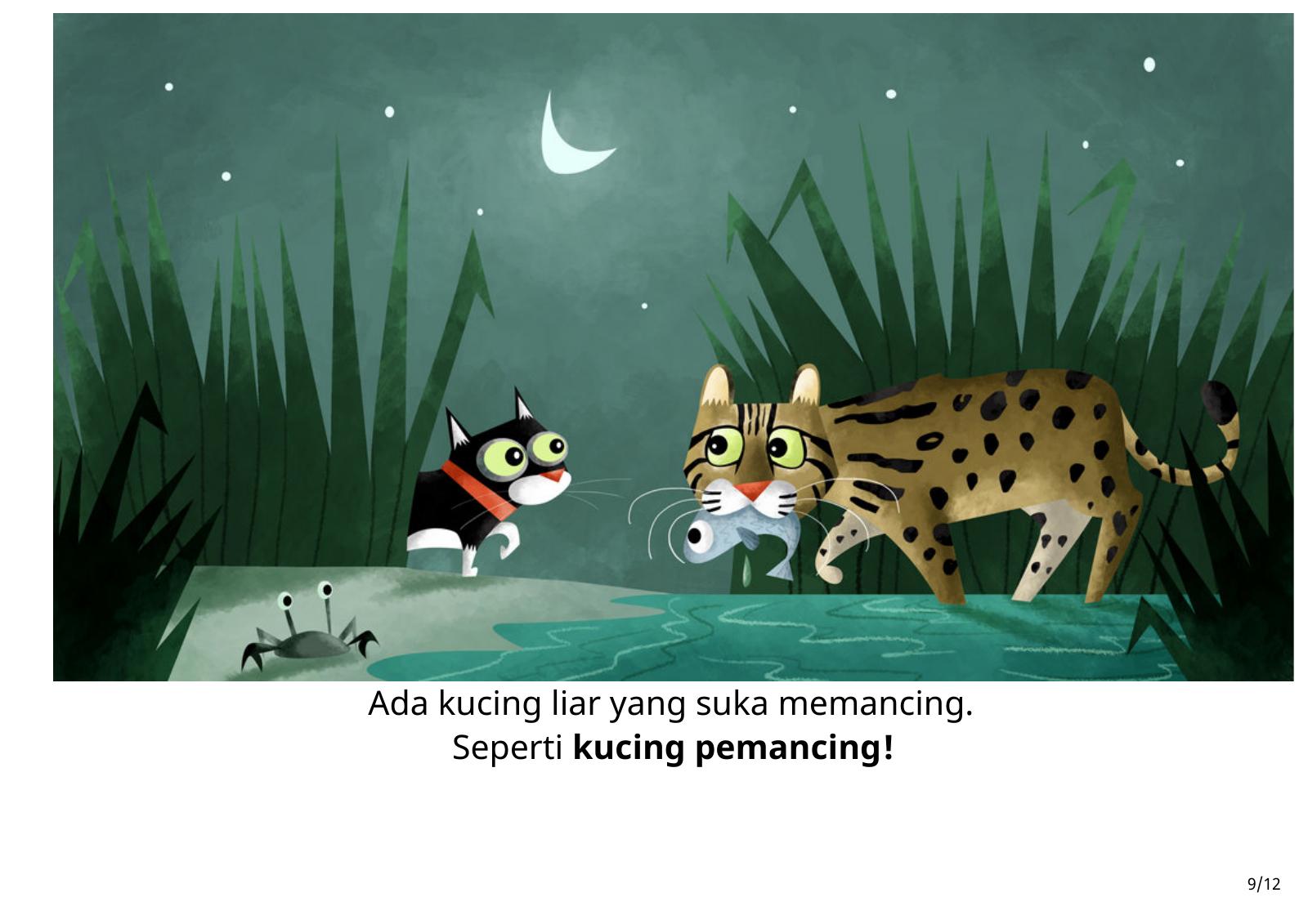 Halaman 9