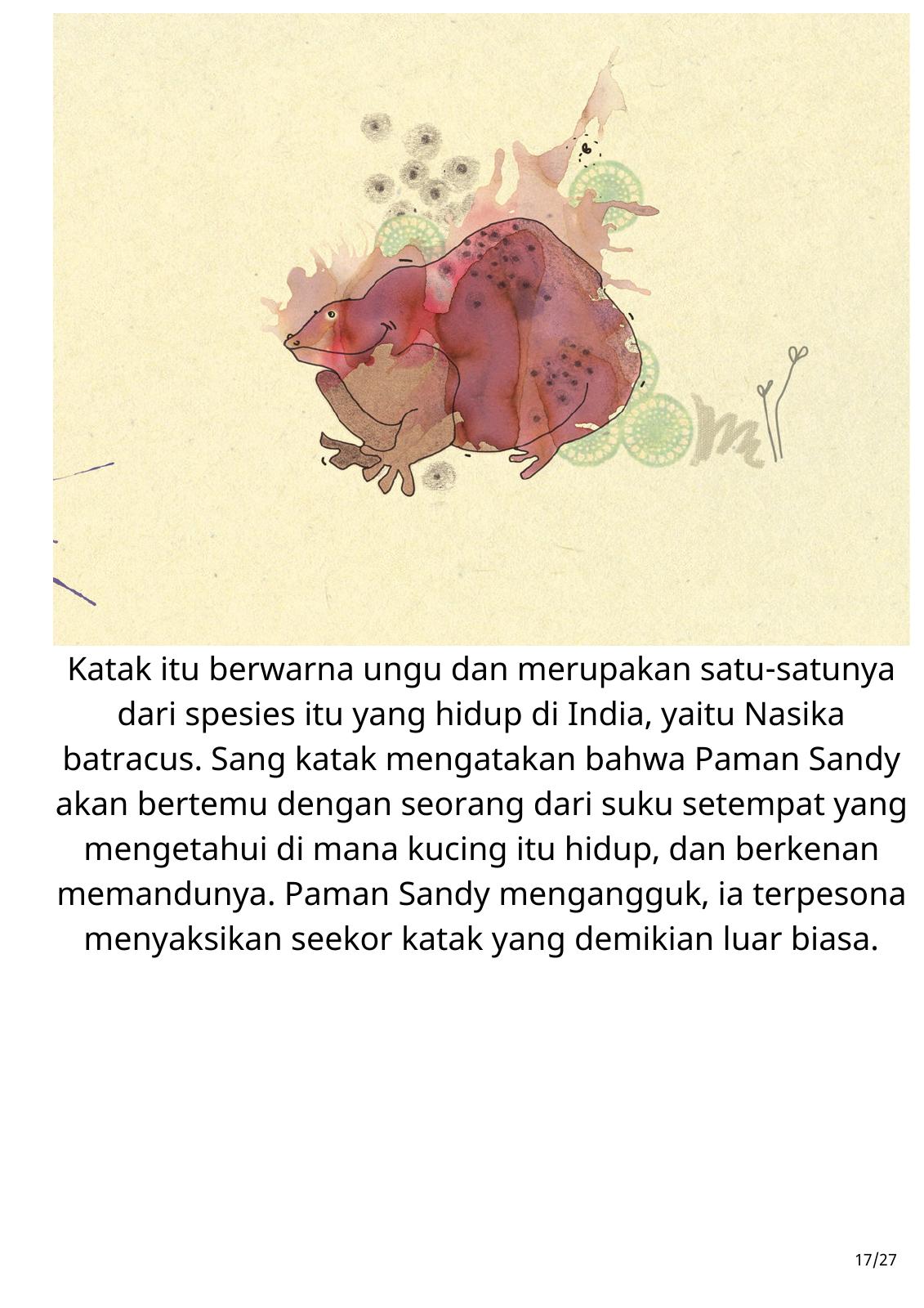Halaman 17