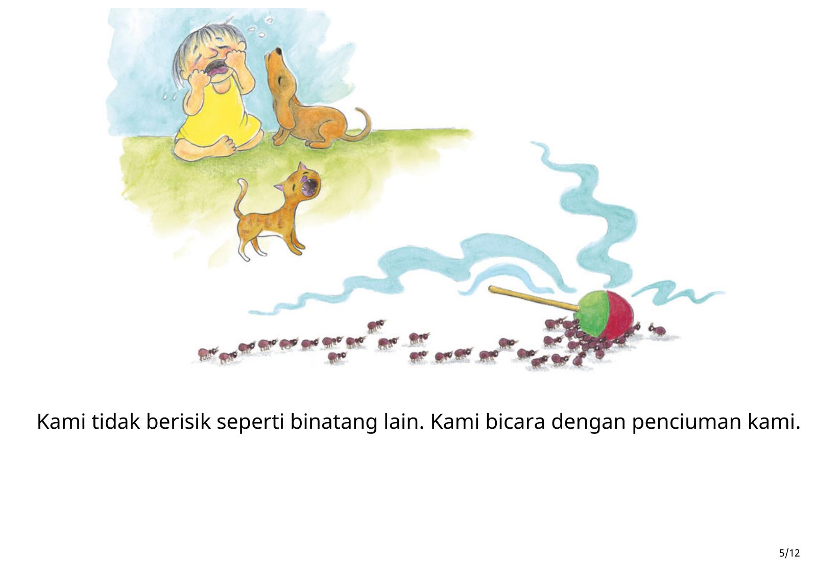 Halaman 5