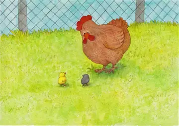 Tata & Titi