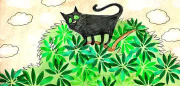 Semua Gara-Gara Si Kucing!