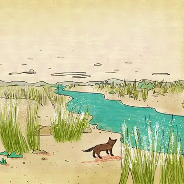 Ladeha dan Bachhiya
