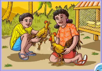 Hore, Ayam Kami Bertambah Banyak!