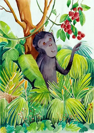 Buah untuk Yaki