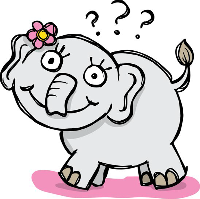 Bayi Gajah yang Sangat Ingin Tahu