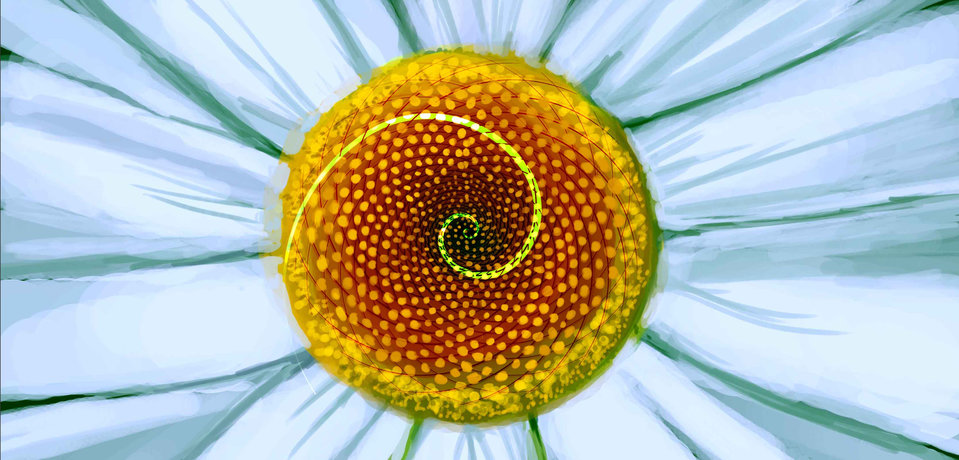 Serunya Angka Fibonacci